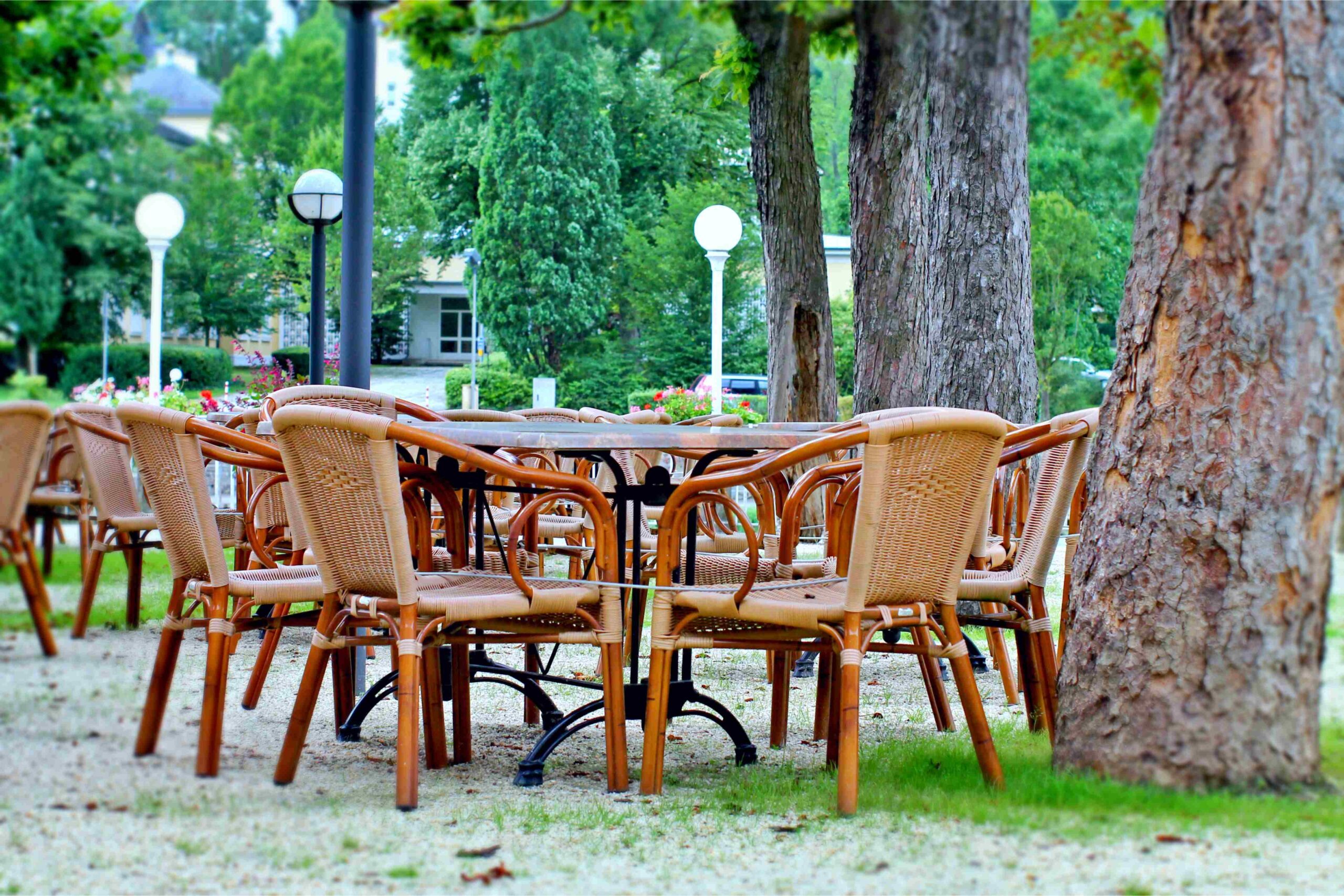 Cane cafe chairs