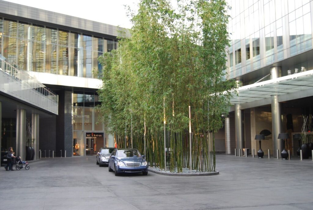 Hotel entrance landscape design